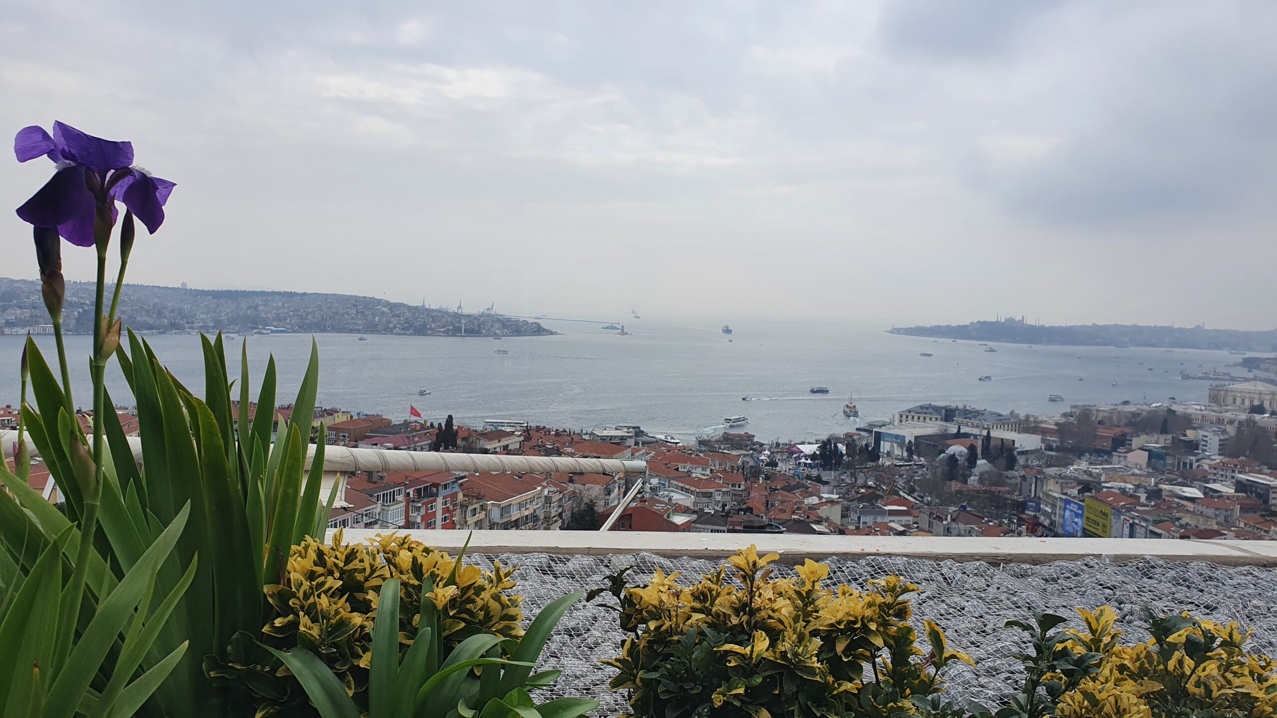 Best Rooftop Restaurants in Istanbul with Stunning Views (2025)