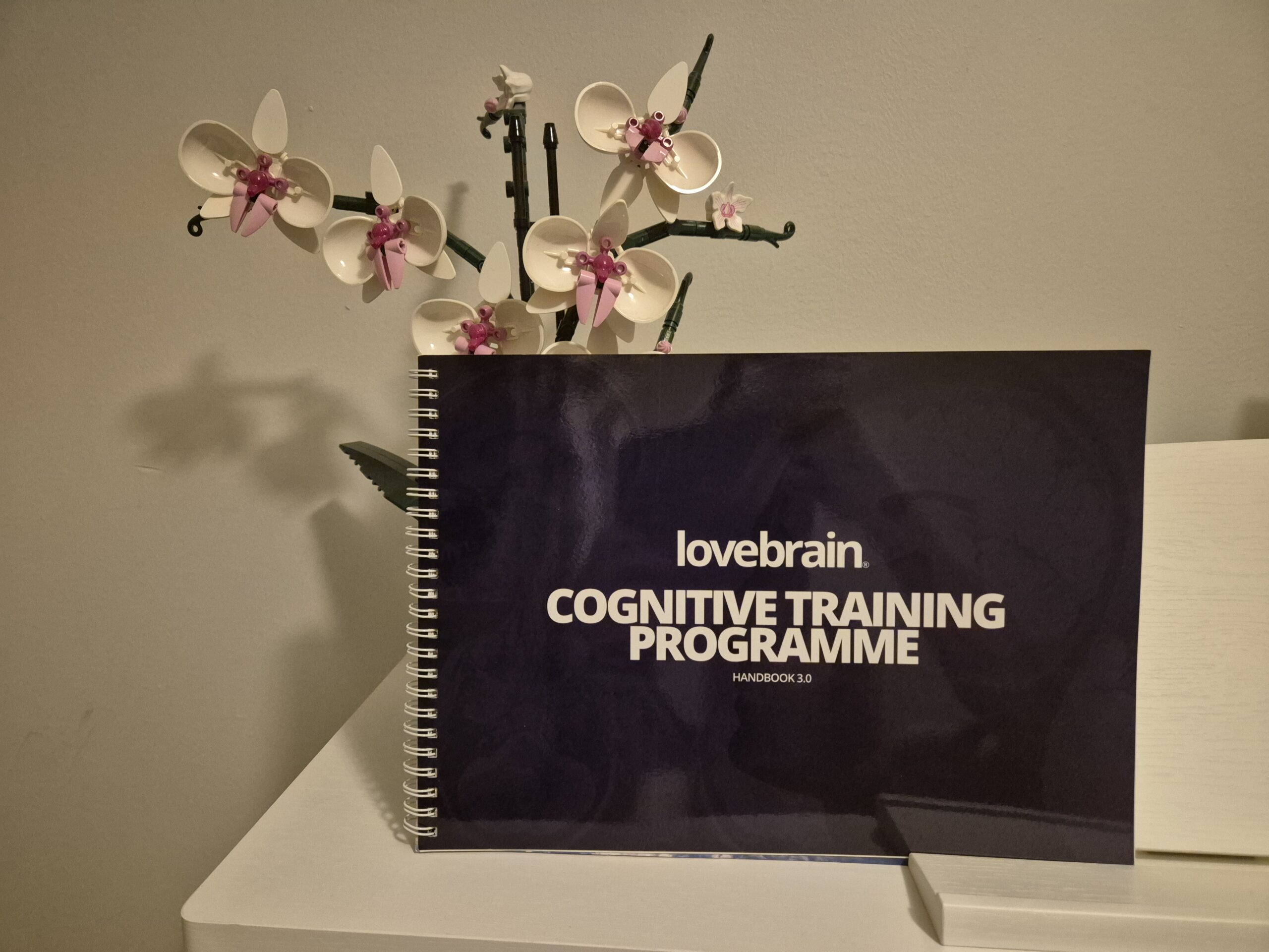 Lovebrain Cognitive Performance Training Review: Is It Worth It?