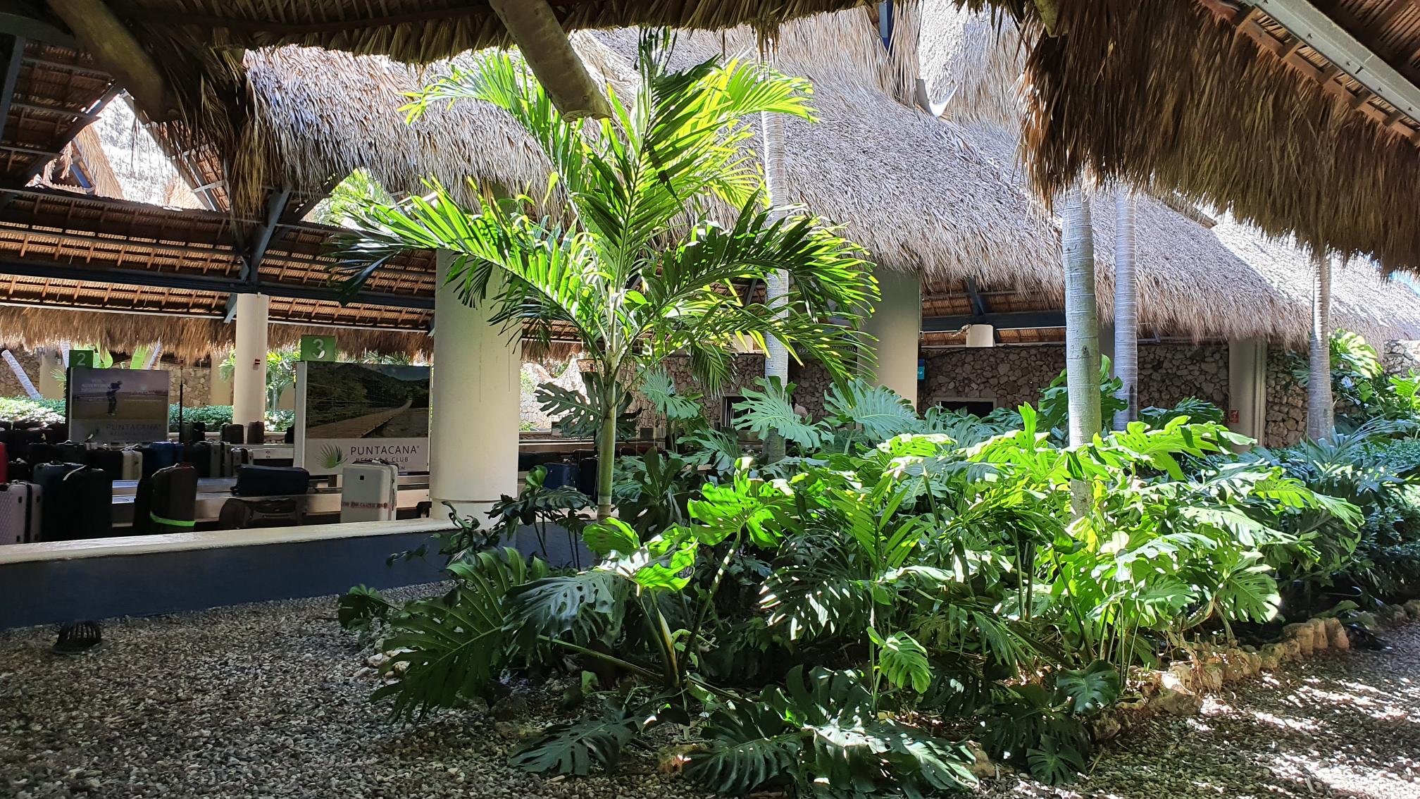 How to Care for Houseplants While Away